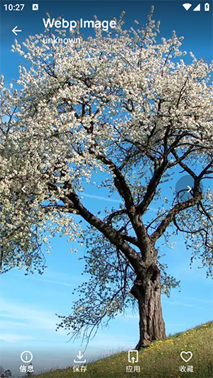 Frames壁纸APP安卓下载免费版-Frames壁纸APP手机版下载中文版v3.7.1