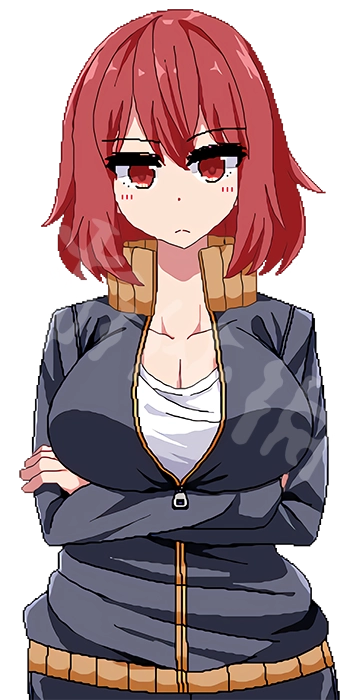 夏日狂想曲汉化版