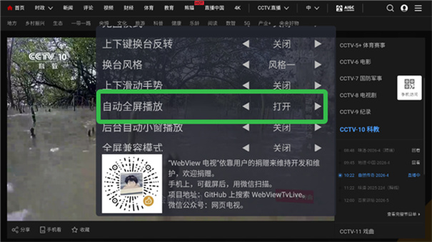 webviewTV电视版