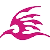 飞极速动漫在线网  v1.0.3