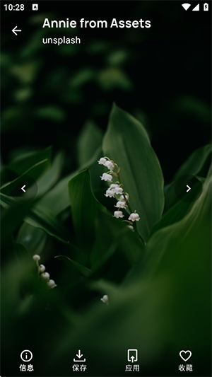 Frames壁纸APP安卓下载免费版-Frames壁纸APP手机版下载中文版v3.7.1